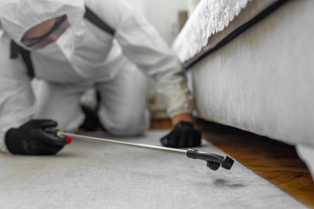 Professional Wasp Control technician working in Tarpey Village, CA