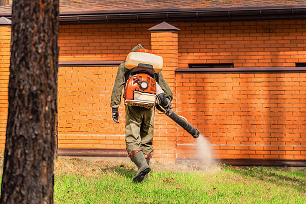 Trusted Termite Control service in Tarpey Village, CA - Nex Pest Control